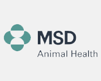 msd